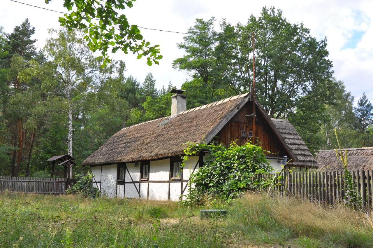 Villa Bibianna Serce Lasu