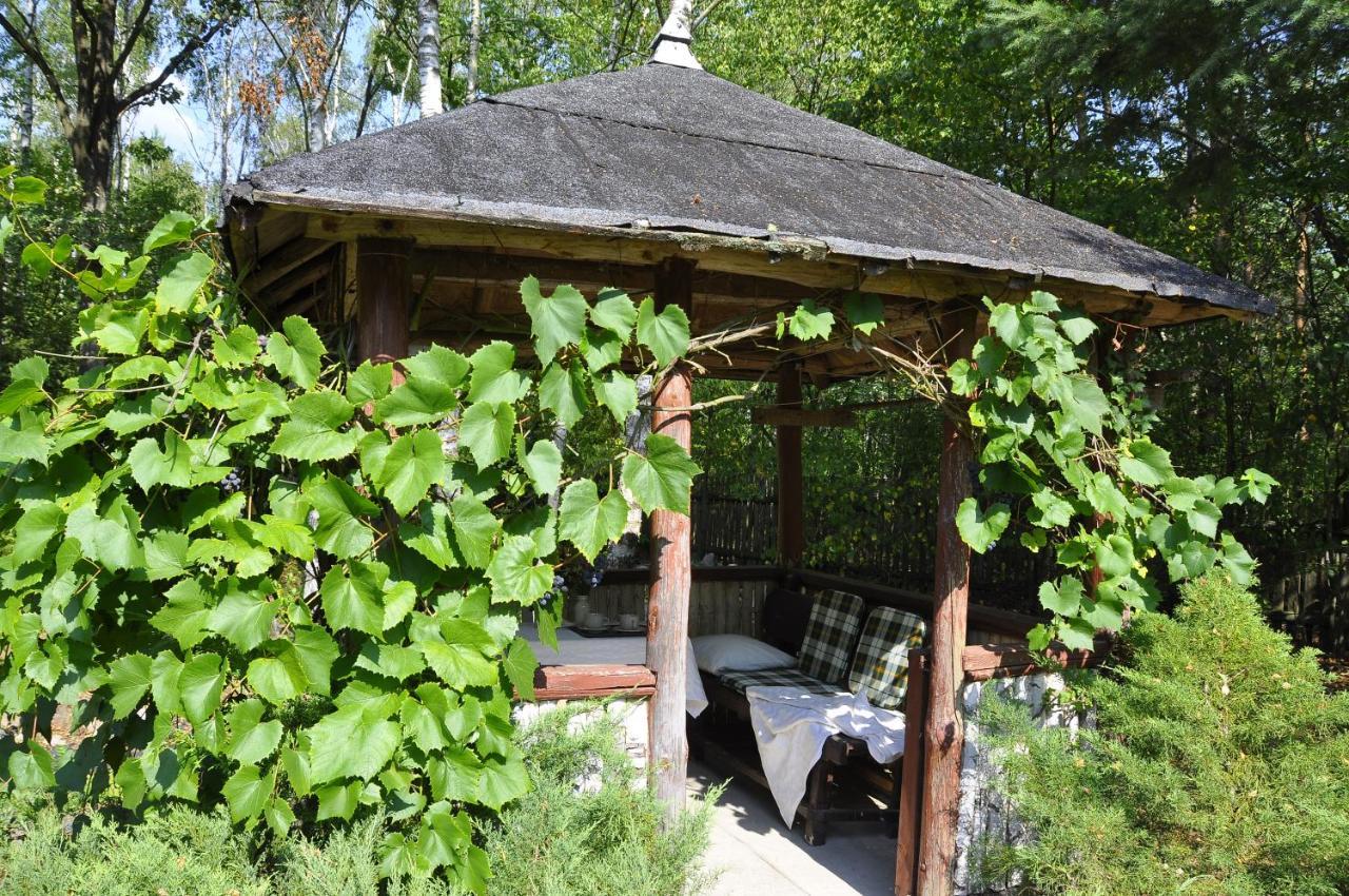 Bibianna Serce Lasu Villa