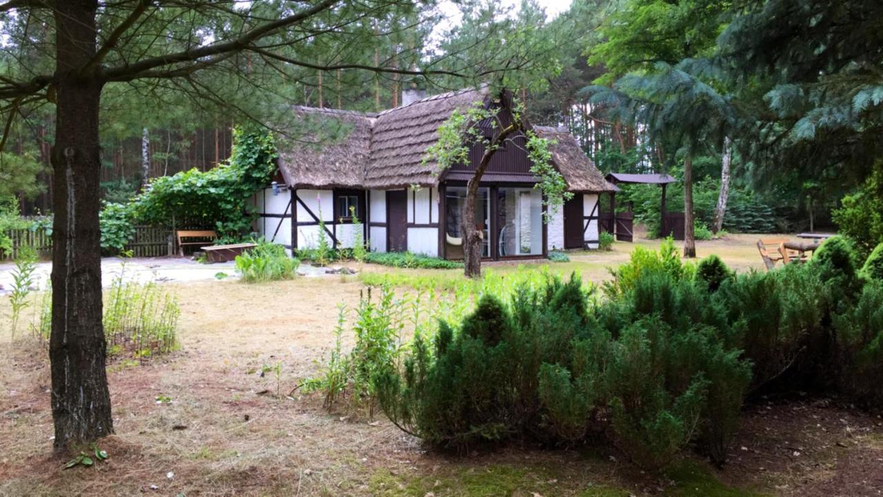 Bibianna Serce Lasu Villa Malanow