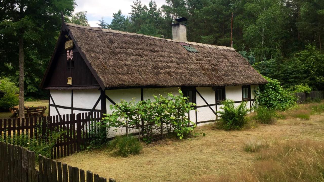Bibianna Serce Lasu Villa