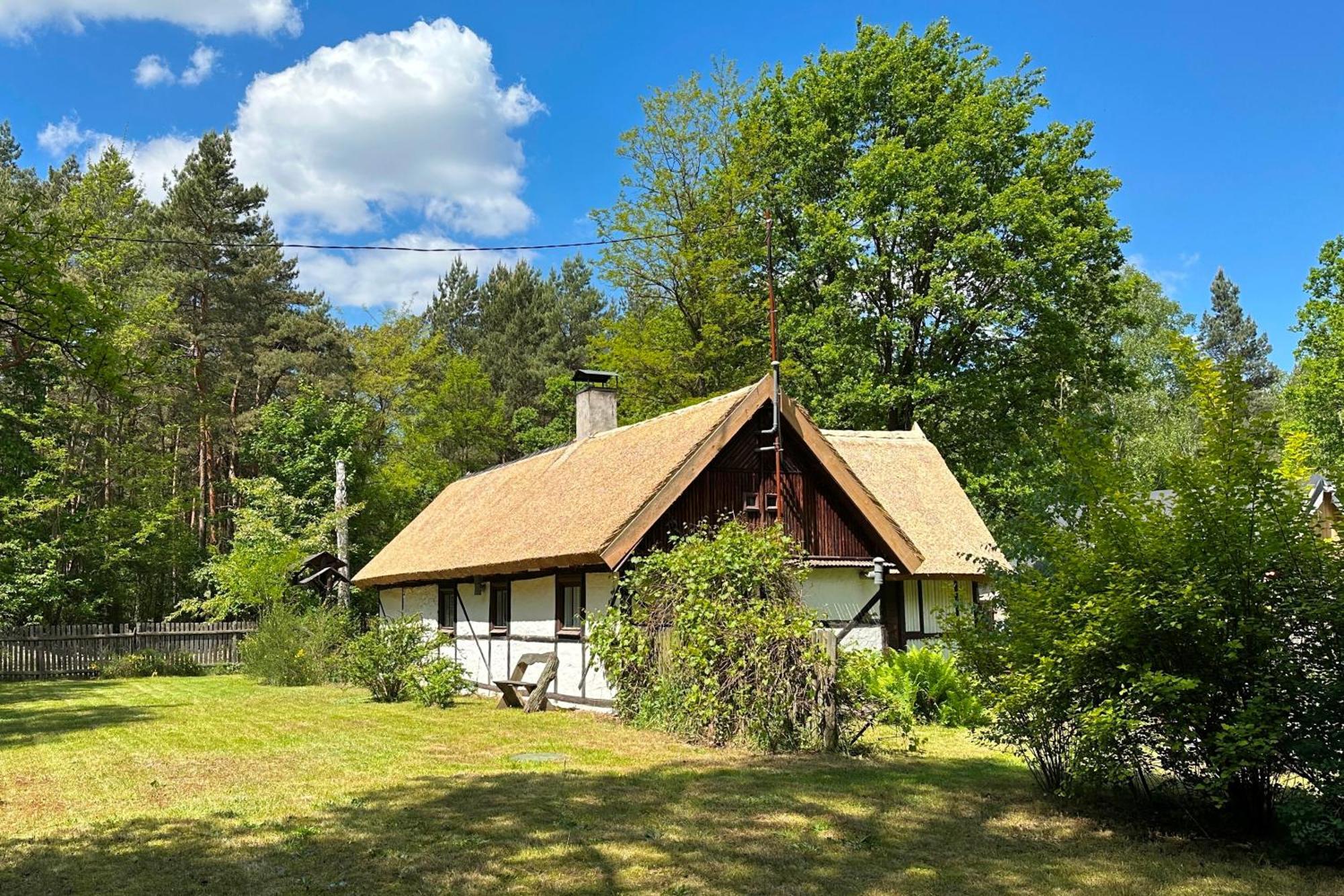 Bibianna Serce Lasu Villa