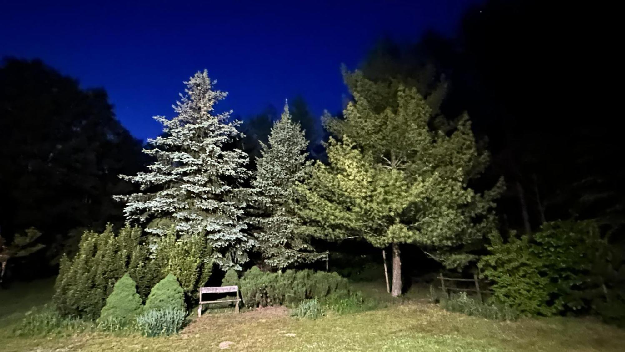Bibianna Serce Lasu Villa Malanow