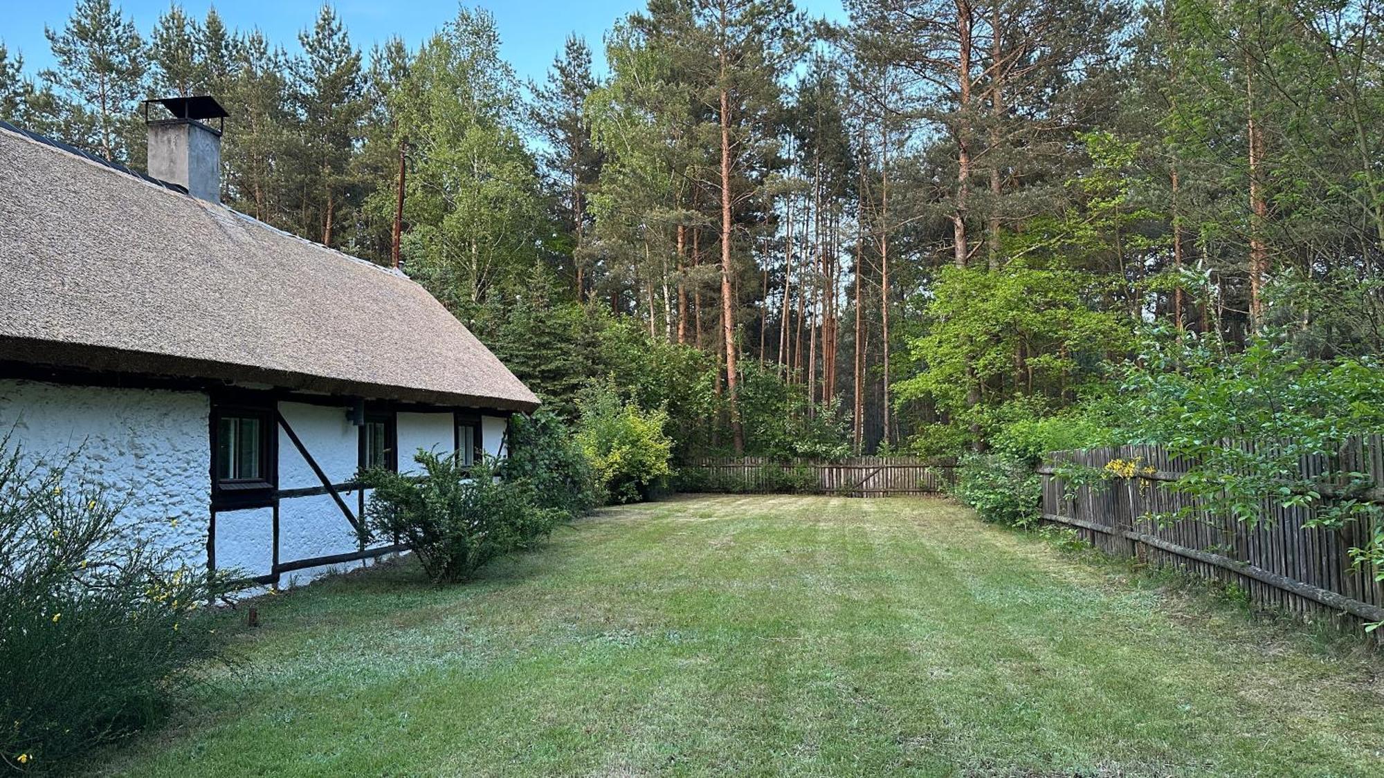 Bibianna Serce Lasu Villa