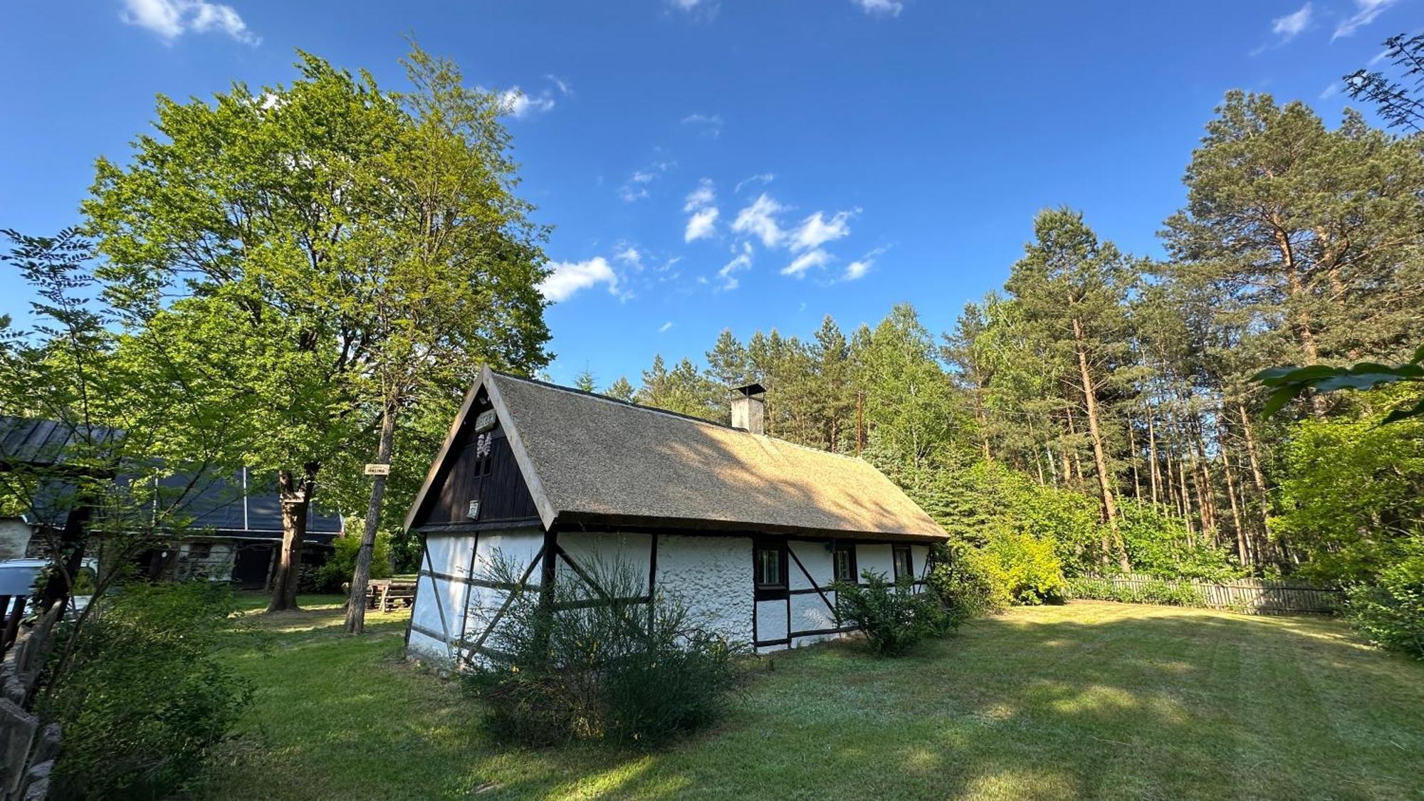 Bibianna Serce Lasu Villa *